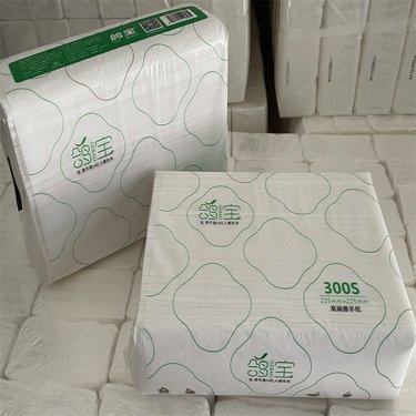 資陽(yáng)市紙制品廠 紙及紙制品的生產(chǎn)與發(fā)展